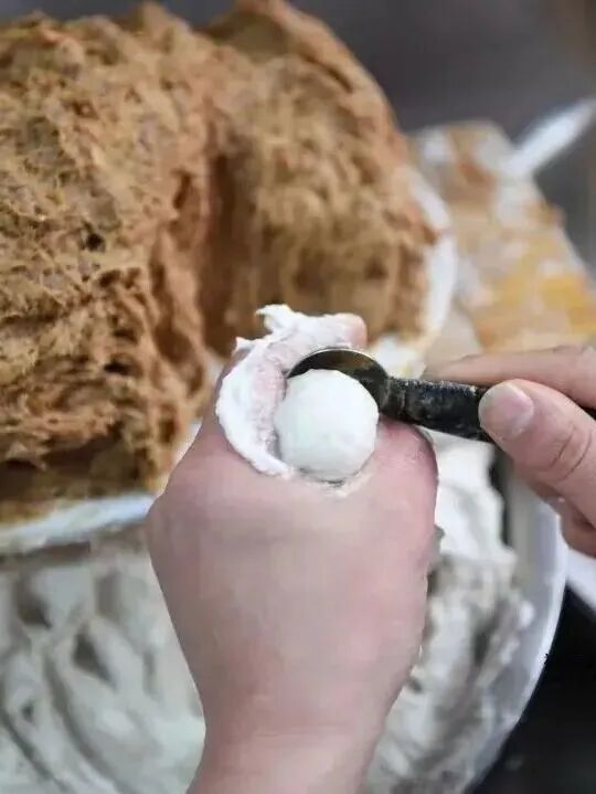 永利皇宫