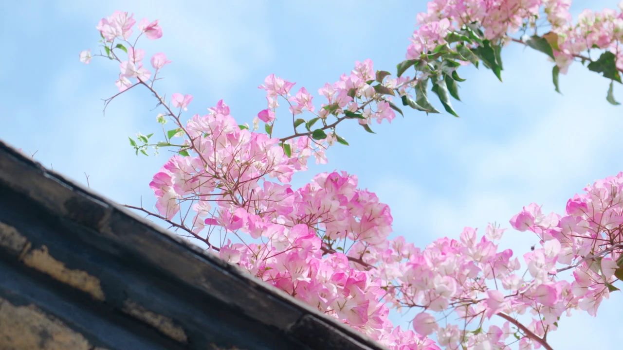 永利皇宫