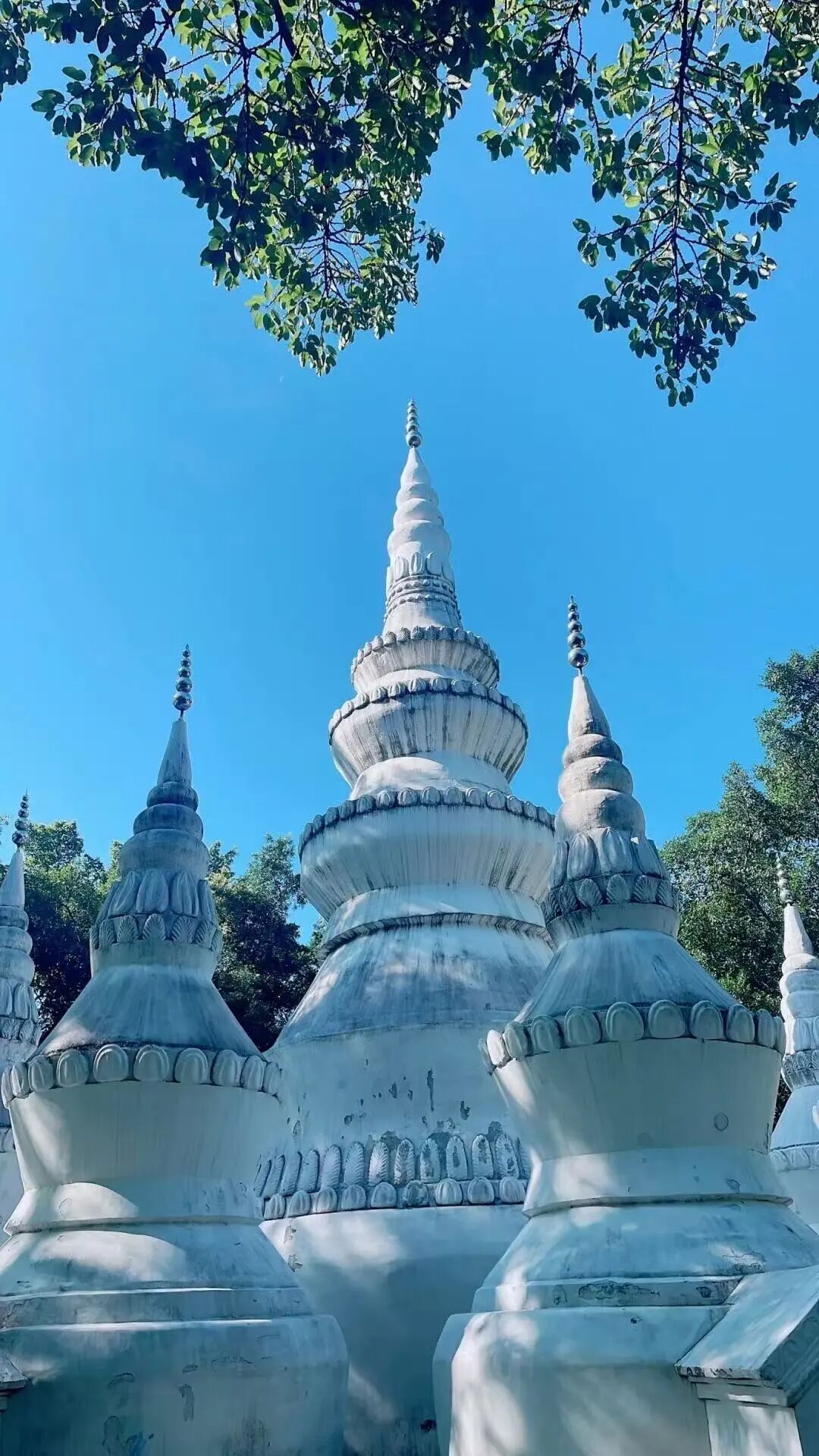 永利皇宫
