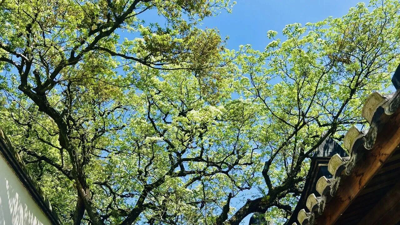 永利皇宫