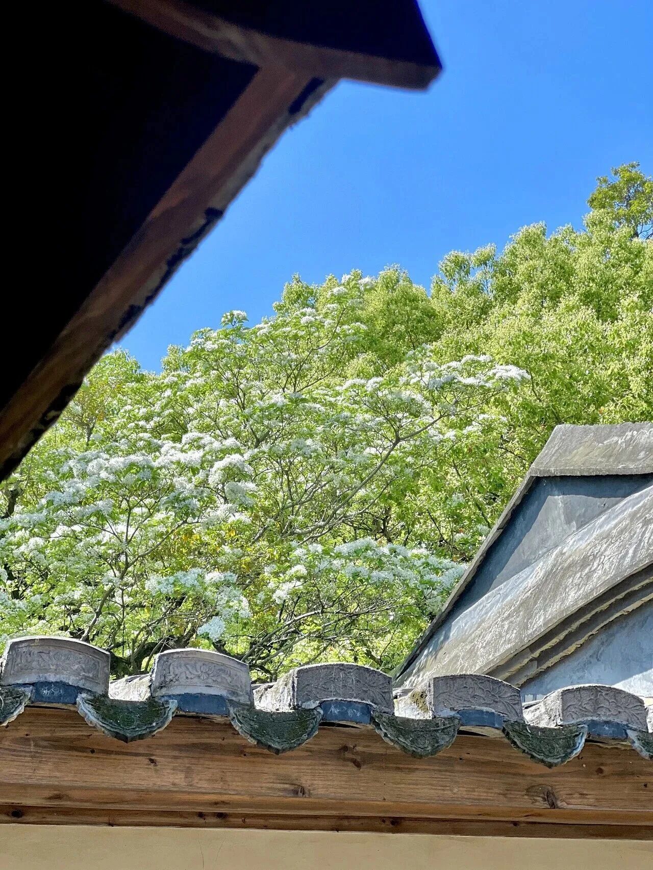 永利皇宫