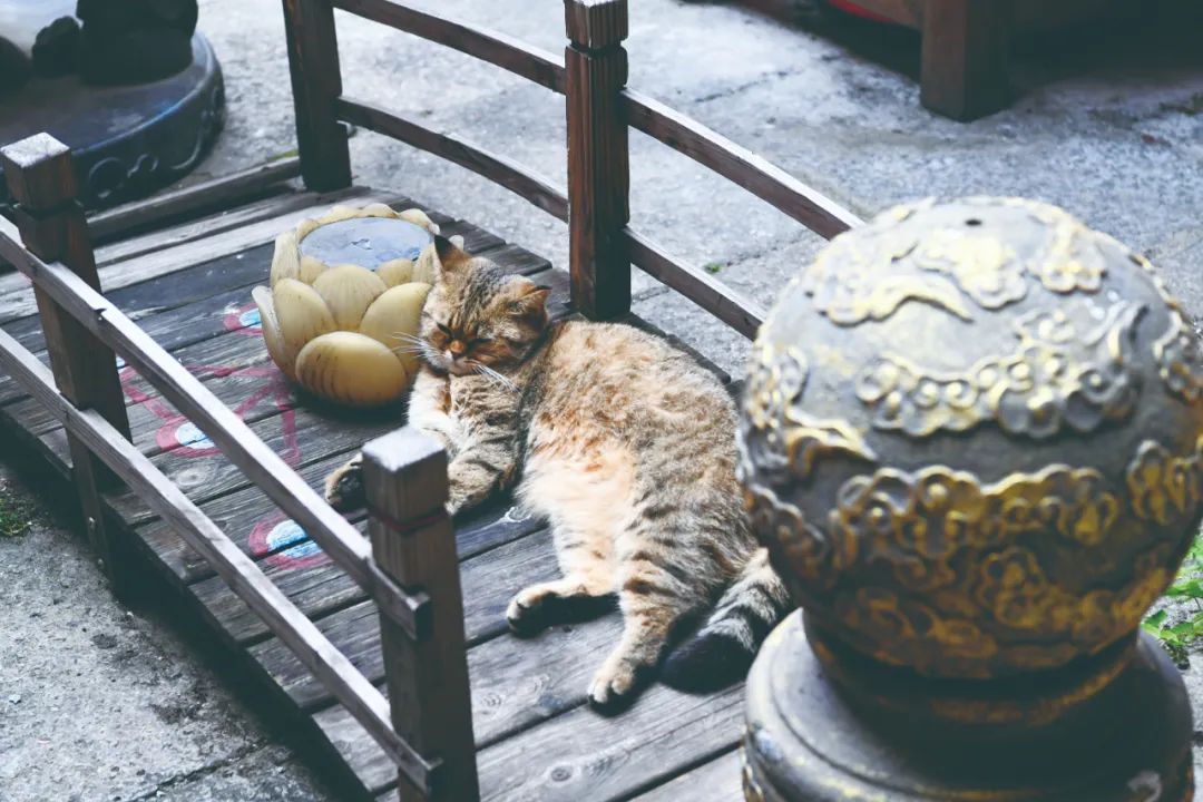 永利皇宫