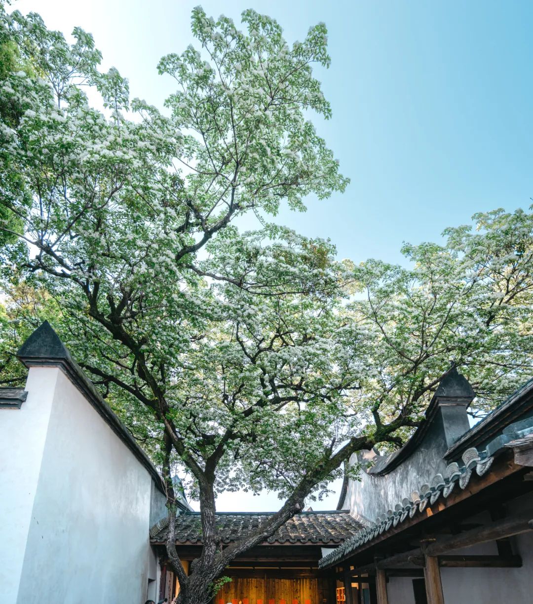 永利皇宫