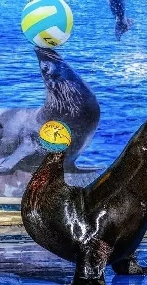 永利皇宫