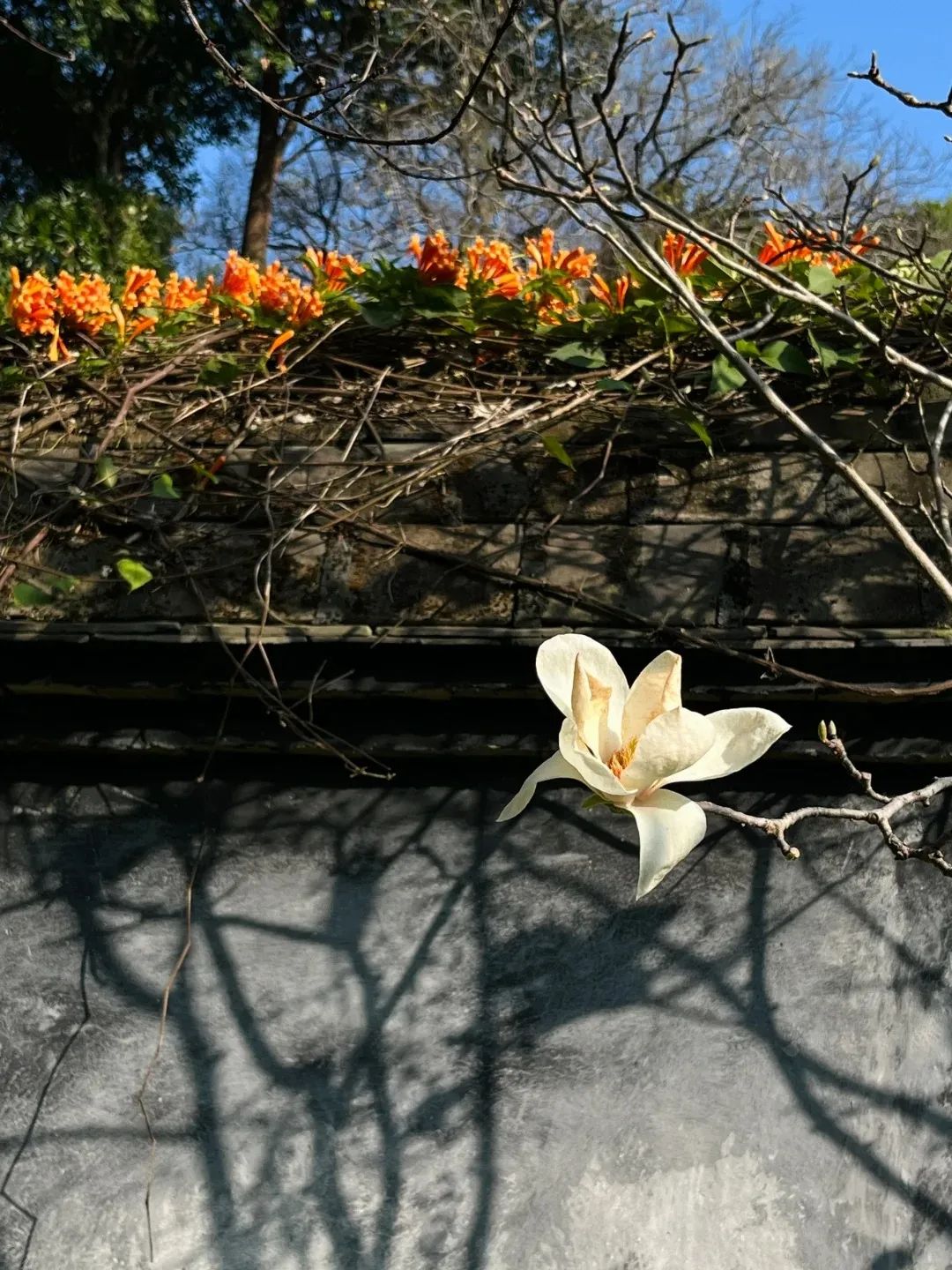 永利皇宫
