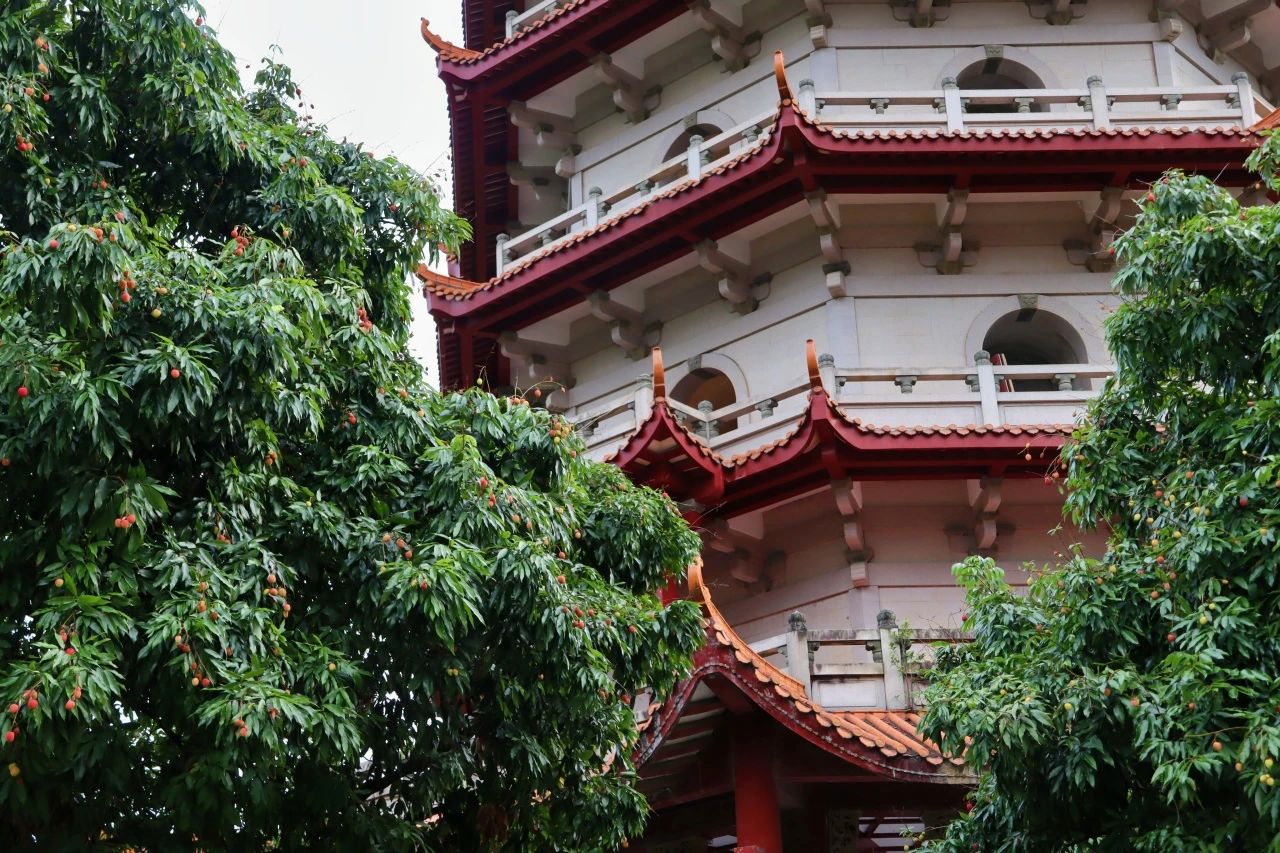 永利皇宫