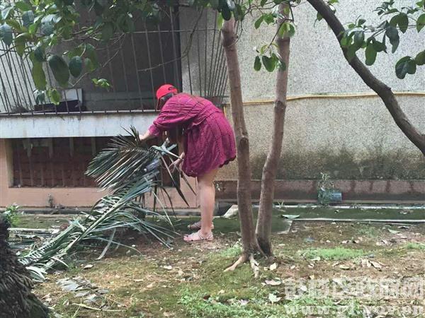 永利皇宫