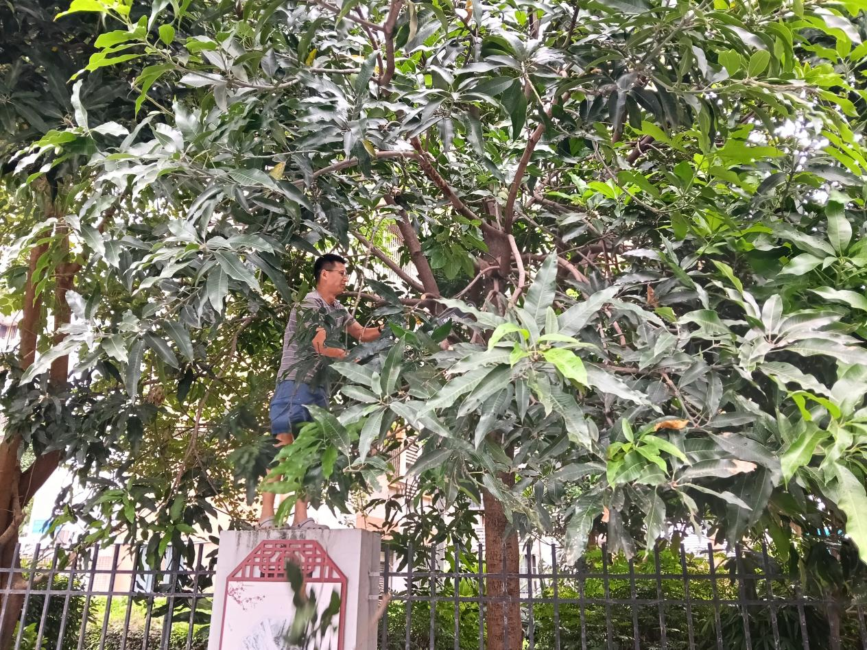 永利皇宫