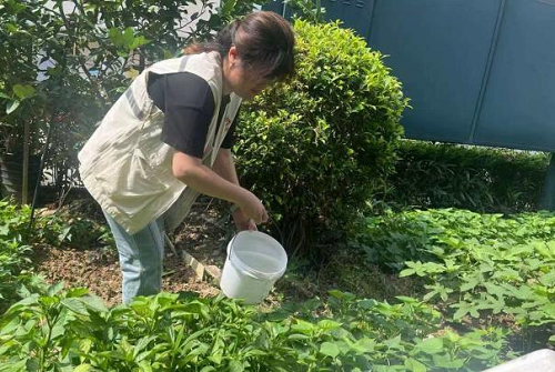 永利皇宫