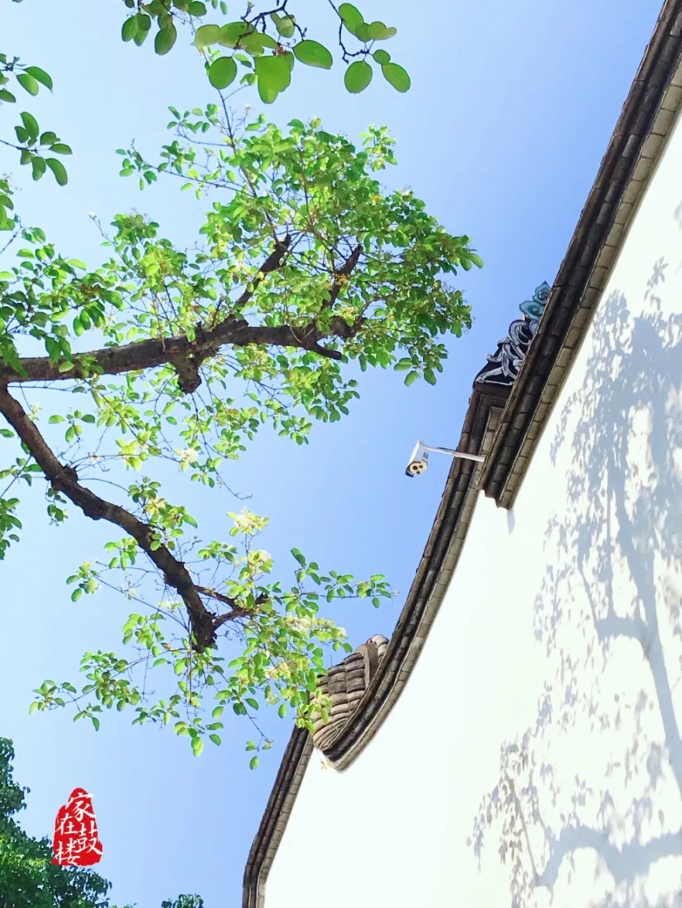 永利皇宫