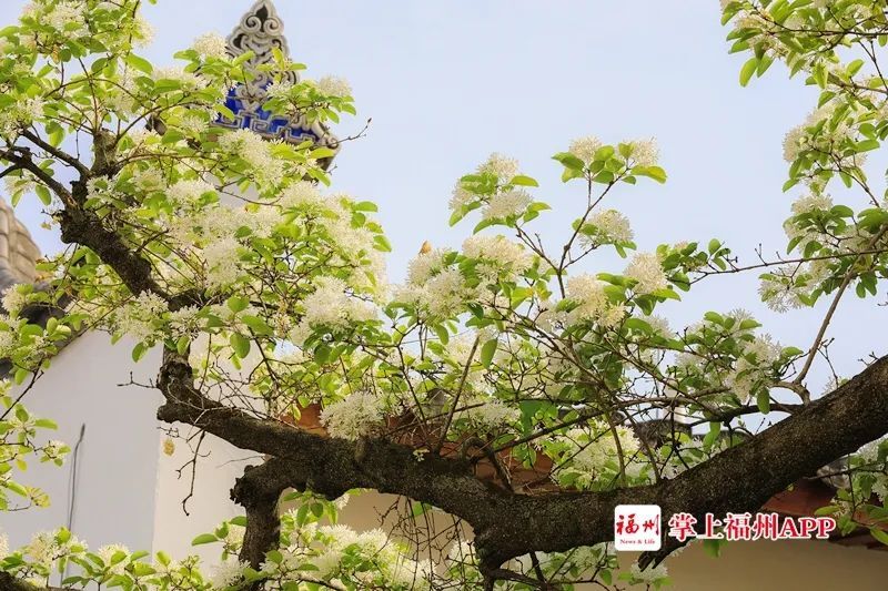 永利皇宫