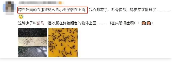 永利皇宫
