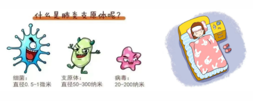 永利皇宫