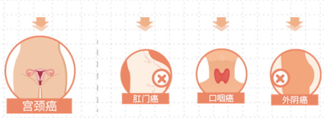 永利皇宫