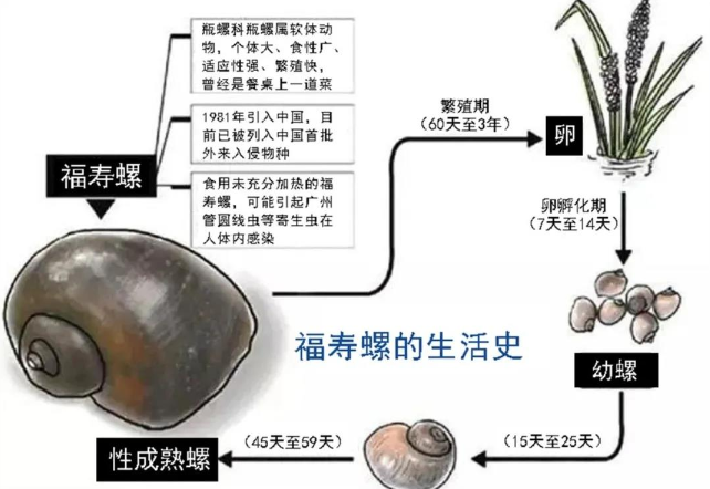 永利皇宫