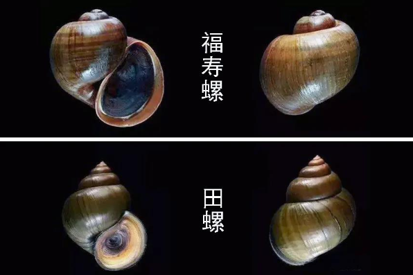 永利皇宫