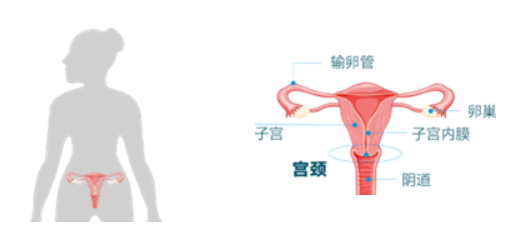 永利皇宫