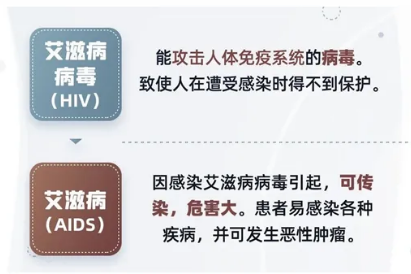 永利皇宫